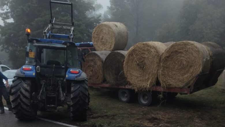 Verso La Castellana. Altri tre orvietani protagonisti