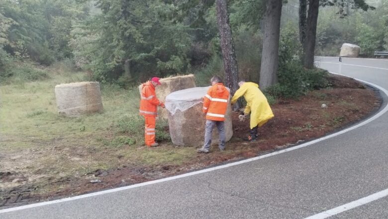 Verso La Castellana. Ci sono piu di duecento iscritti