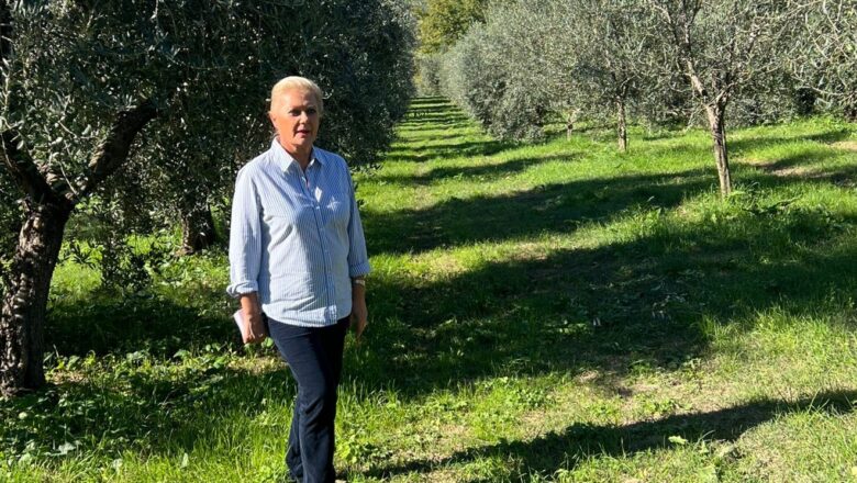 Le qualità dell’olio extravergine d’oliva di Podere Sant’Angelo a Montecchio nella linea Sinaqua® di Welcare